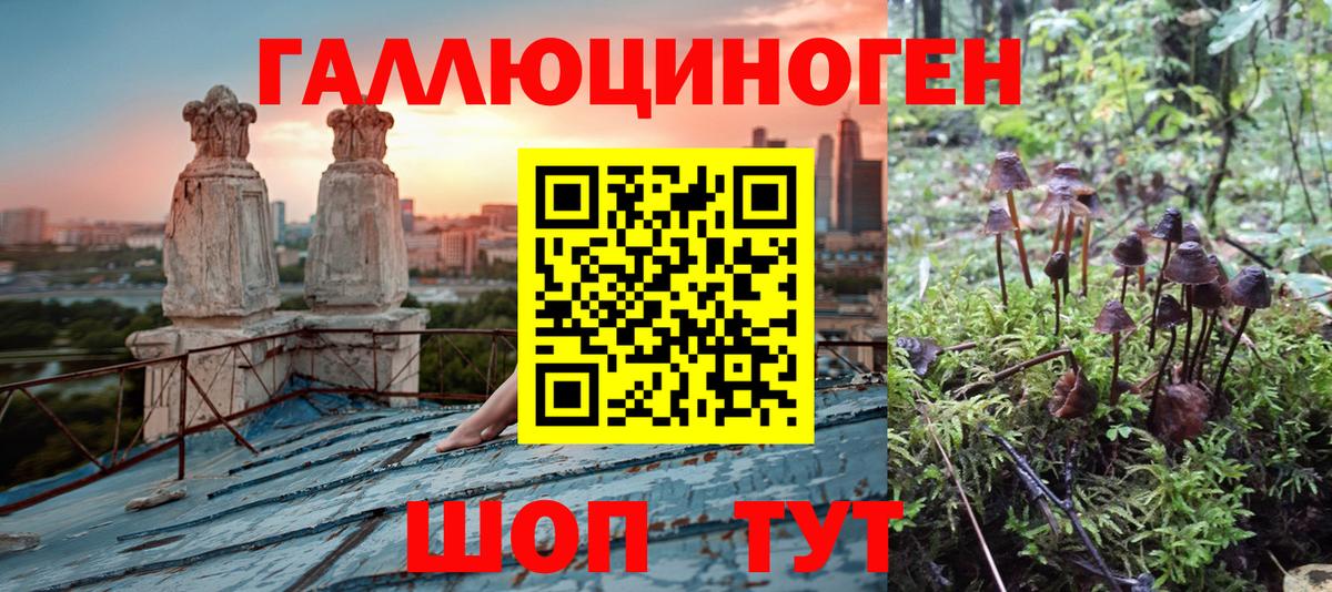 Галлюциногенные грибы мицелий Бугуруслан