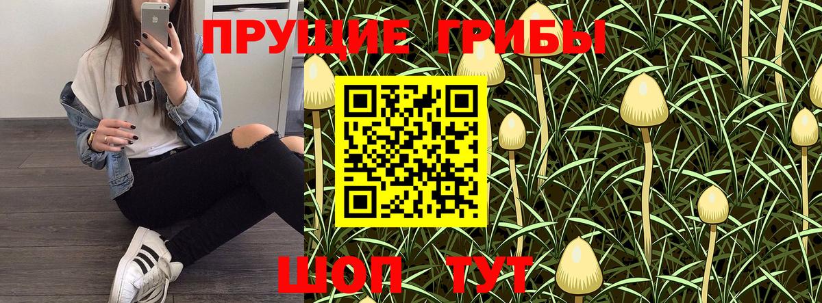 Галлюциногенные грибы мицелий  Псилоцибиновые грибы GOLDEN TEACHER  Бугуруслан  Вход с VPN 